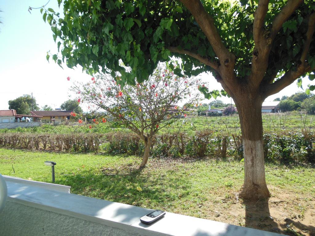 Helonata Apartments Arkoudi Ngoại thất bức ảnh