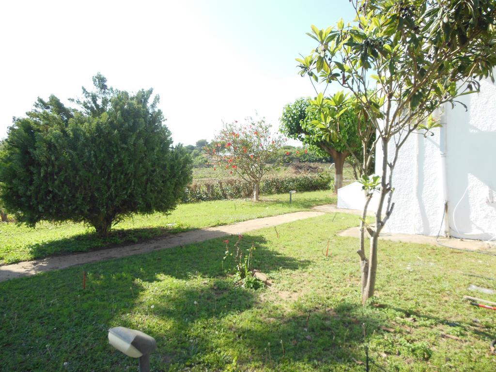Helonata Apartments Arkoudi Ngoại thất bức ảnh